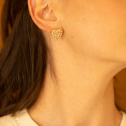 Clarence Earrings
